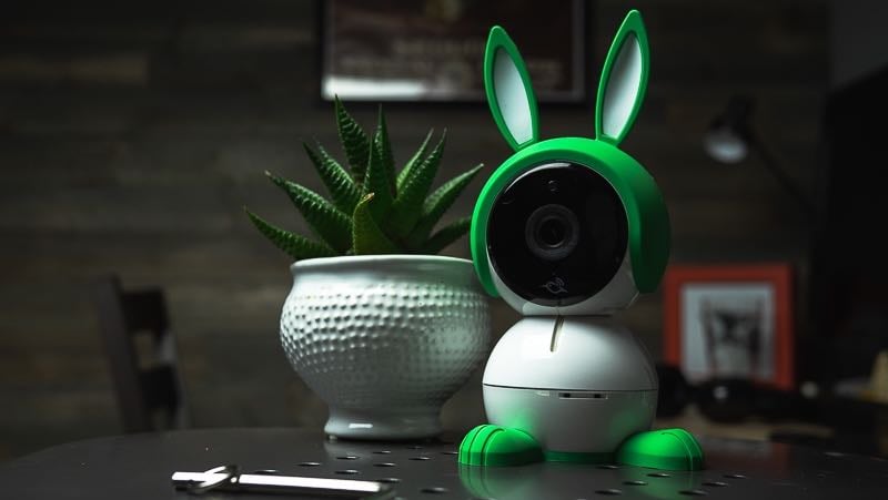 Arlo Baby Monitor with green bunny ears and feet on a table with a plant