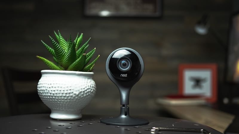 Nest Cam on a table with a plant
