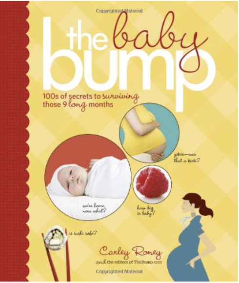 The Baby Bump Book